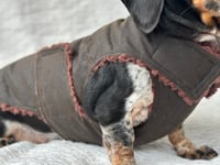 Image 5 of Oilskin Chest Cover Coat