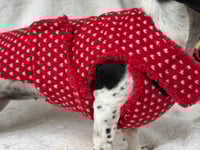 Image 1 of Red Heart Chest Cover Coat