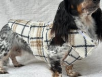 Image 3 of White/Beige Tartan Chest Cover Coat