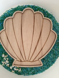 Image 1 of Shell sensory kit