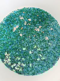 Image 2 of Shell sensory kit