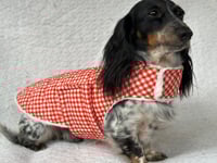 Image 2 of Red Gingham Puffer Strap Coat