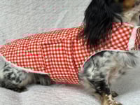 Image 3 of Red Gingham Puffer Strap Coat