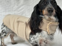 Image 1 of Beige Wool Strap Coat