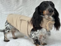 Image 3 of Beige Wool Strap Coat