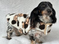 Image 2 of Muttley Teddy Strap Coat