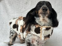 Image 3 of Muttley Teddy Strap Coat