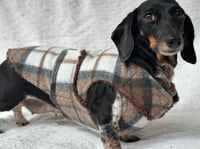 Image 1 of Soft Brown Check Chest Cover Coat