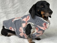 Image 1 of Teddy Bows Chest Cover Coat