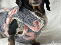 Image 2 of Teddy Bows Chest Cover Coat