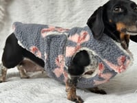 Image 3 of Teddy Bows Chest Cover Coat