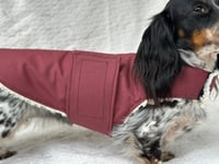 Image 5 of Maroon Raincoat Strap Coat