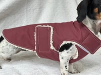 Image 1 of Maroon Raincoat Chest Cover Coat