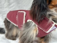 Image 3 of Maroon Raincoat Chest Cover Coat