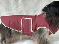 Image 4 of Maroon Raincoat Chest Cover Coat