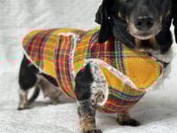 Image 1 of Clueless Wool Chest Cover Coat