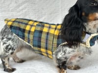 Image 3 of Yellow Blue Check Strap Coat