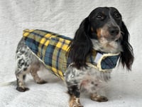 Image 5 of Yellow Blue Check Strap Coat