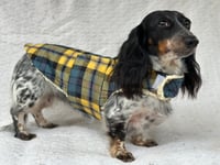 Image 4 of Yellow Blue Check Strap Coat