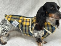 Image 2 of Yellow Blue Check Chest Cover Coat