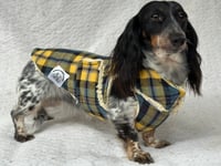 Image 3 of Yellow Blue Check Chest Cover Coat