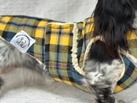 Image 1 of Yellow Blue Check Chest Cover Coat