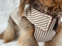 Image 4 of Chocolate Stripe Raincoat Chest Cover Coat