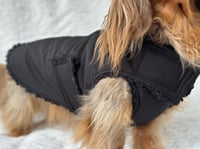 Image 1 of Black Raincoat Chest Cover Coat