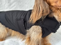 Image 3 of Black Raincoat Chest Cover Coat