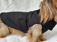 Image 4 of Black Raincoat Chest Cover Coat