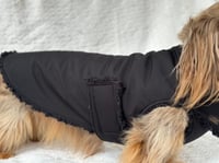 Image 5 of Black Raincoat Chest Cover Coat