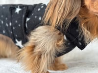 Image 2 of Starry Night Fleece Chest Cover Coat