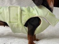 Image 1 of Palm Tree Towel Coat