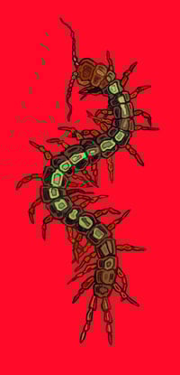 Image 1 of Centipede sticker