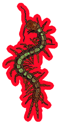 Image 2 of Centipede sticker