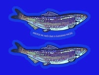 Image 1 of Herring sticker
