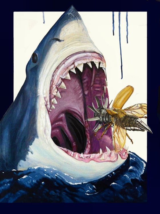 Image of Bait & Tackle