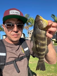 Image 5 of Fish Hard Logo Snapback