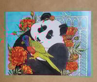 Mini Print--Panda with a Lorikeet