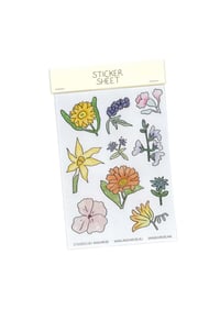 Image 1 of FLOWER COLLECTOR sticker sheet 