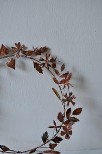 Image 3 of Hedgerow wreath 3