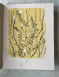 Image 4 of Out and about tales by Irene Byers Book Ten