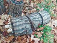Make Your Own Oyster Mushroom Log Workshop - Sun. March 29