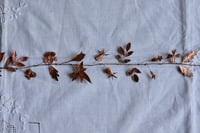 Image 5 of Hedgerow garland 3