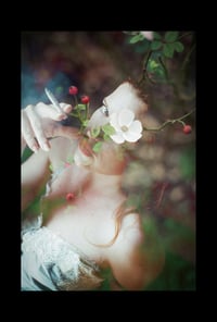 Image 1 of Smoking Nymph 