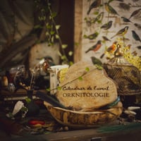 LE CALENDRIER DE L'AVENT - ORKNITOLOGIE