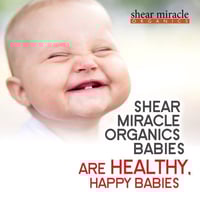 Image 2 of Baby Miracles Baby Shampoo & Botanical Wash