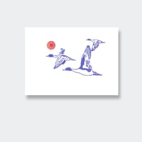 Image 1 of Envol