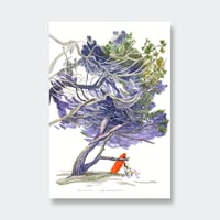 Image 1 of Affiche Grenettes 2