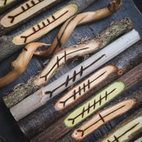 Image 4 of Tree Speak Corresponding Ogham Staves (D060-16)